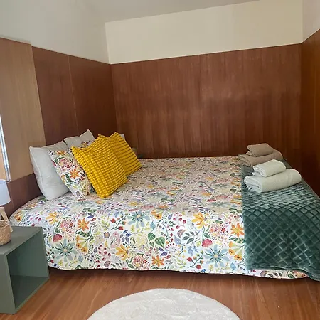 Douro Wellspring Tatil Evi