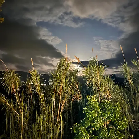 Douro Wellspring Santa Marinha do Zêzere
