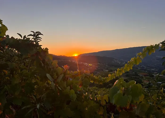 Casa vacanze Douro Wellspring