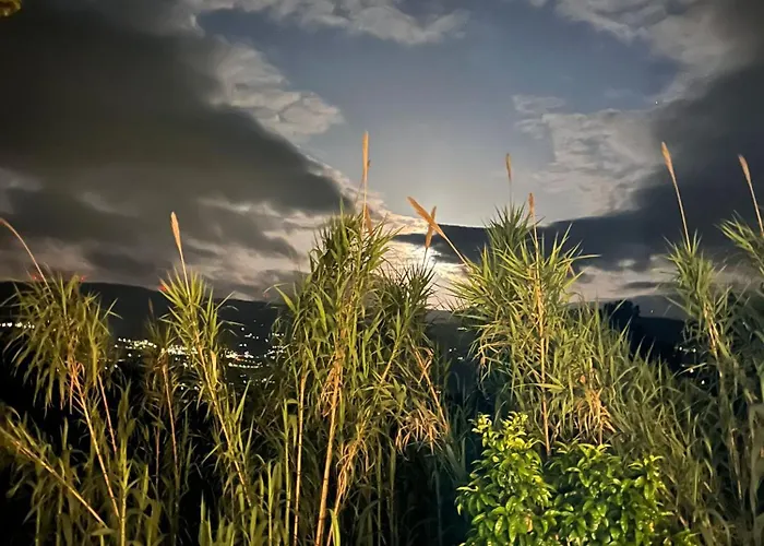 Douro Wellspring Santa Marinha do Zêzere